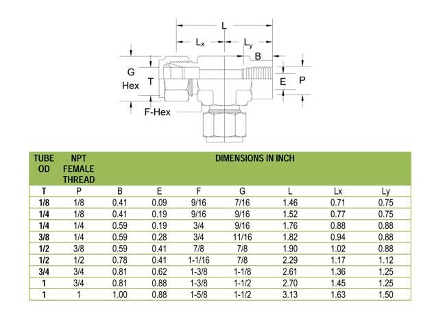 female run tee exporter