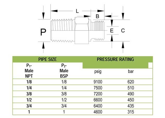 Pipe Fittings Hex Nipple Parallel Exporter